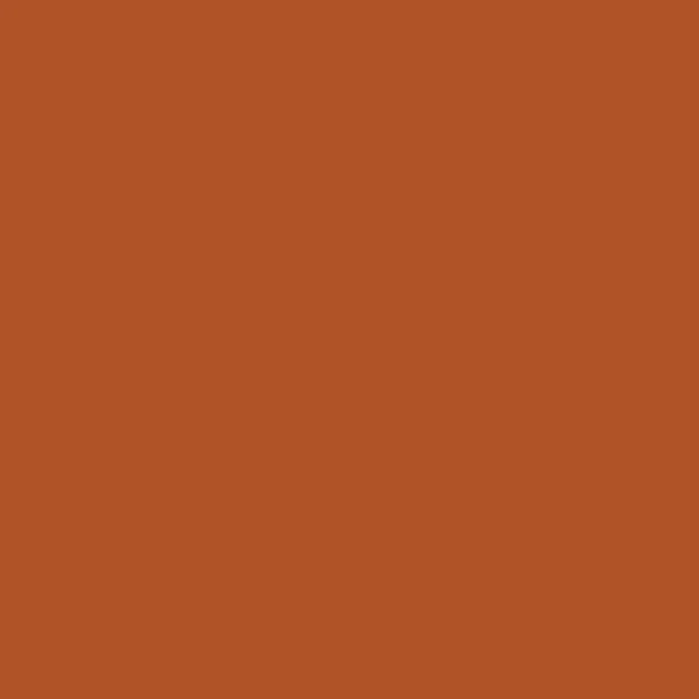 Winsor & Newton Μαρκαδόρος Promarker O335 Terracotta