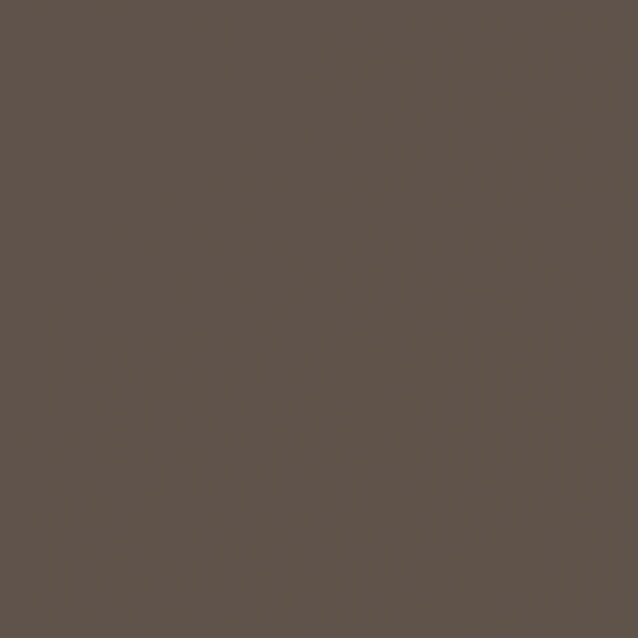 Winsor & Newton Μαρκαδόρος Promarker WG5 Warm Grey 5