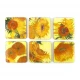 6 Σουβέρ 10,5x10,5x0,4cm Van Gogh 