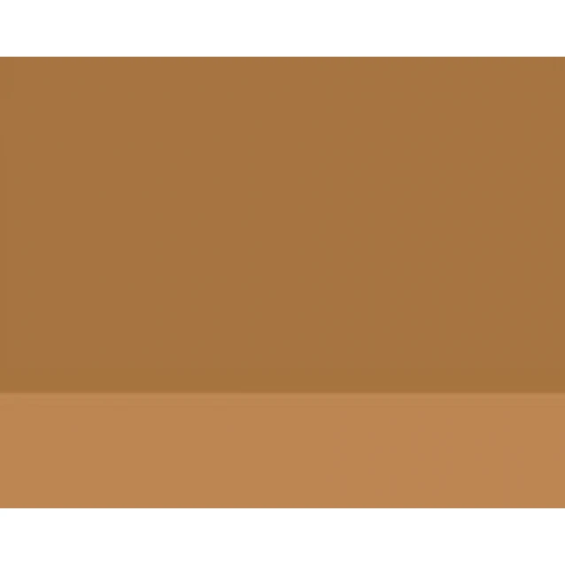 Lefranc & Bourgeois 40ml Artists Oil 305 Series 1 Gold Ochre