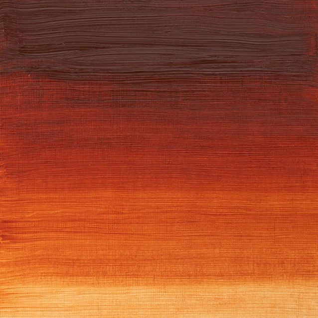 Winsor & Newton 37ml Winton Oil Burnt Sienna
