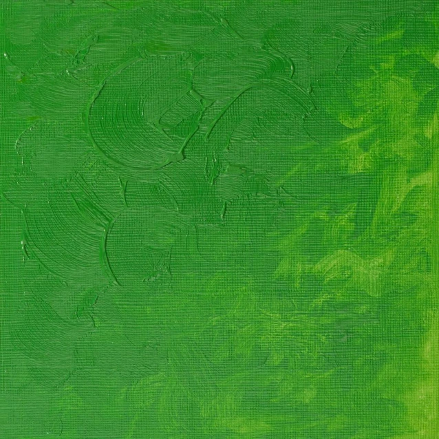 Winsor & Newton 37ml Winton Oil Permanent Green Light