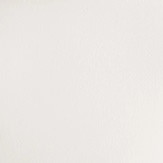 Winsor & Newton Half Pan Ακουαρέλας Cotman 150 Chinese White Series 1