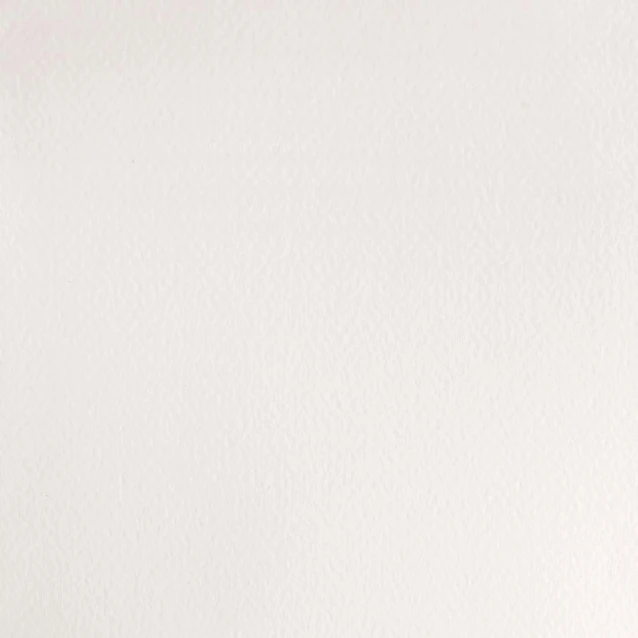 Winsor & Newton Half Pan Ακουαρέλας Professional 150 Chinese White Series 1