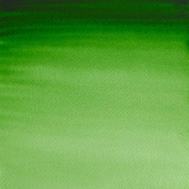 Winsor & Newton Half Pan Ακουαρέλας Professional 311 Hookers Green Series 1