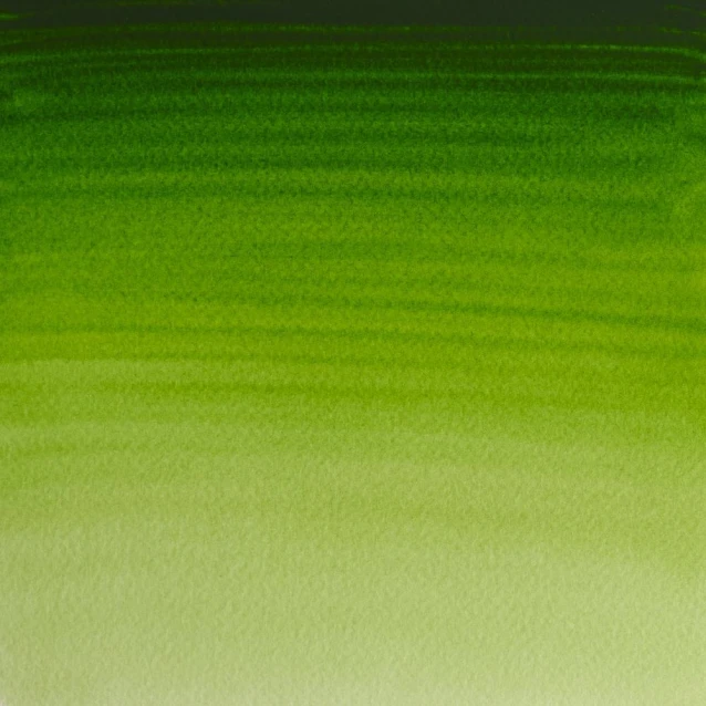Winsor & Newton Half Pan Ακουαρέλας Professional 503 Permanent Sap Green Series 1