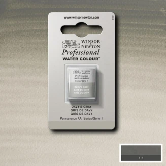 Winsor & Newton Half Pan Ακουαρέλας Professional 217 Davys Grey