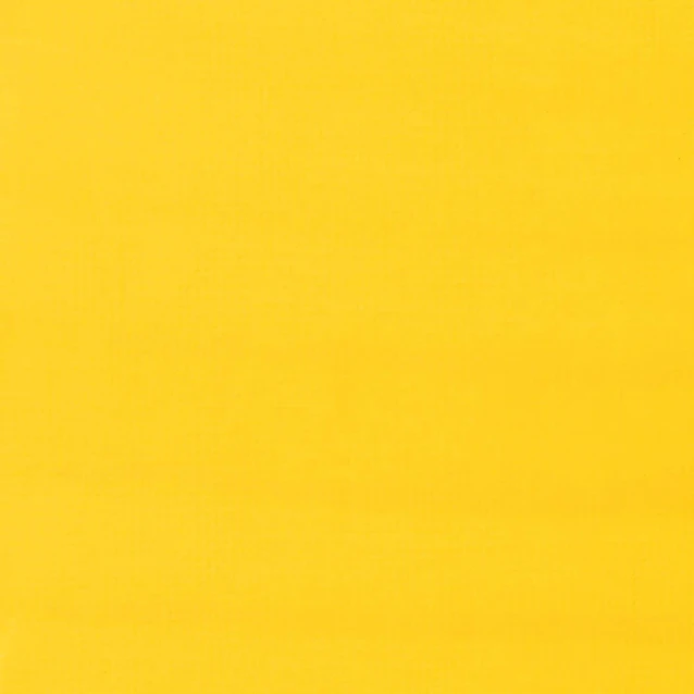 Liquitex Professional Ακρυλικός Μαρκαδόρος 15mm Cadmium Yellow Light Hue