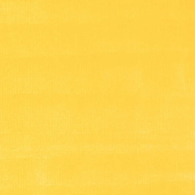 Liquitex Professional Ακρυλικός Μαρκαδόρος 2mm Yellow Medium Azo