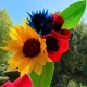 SentoSphere Δημιουργήστε Λουλούδια από χαρτί