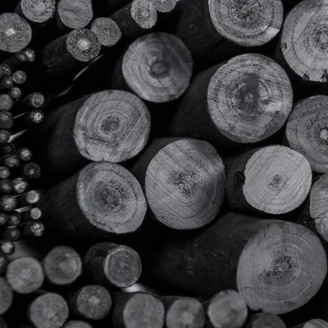 Coates 25 Λεπτά Κάρβουνα Ζωγραφικής Φ 2-3 mm