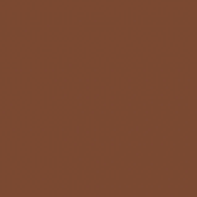 Winsor & Newton Μαρκαδόρος Promarker O234 Chocolate