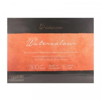 Hahnemuhle Μπλοκ Ακουαρέλας Collection Hot Pressed (Satine) 300gr 36x48cm 10 φύλλων