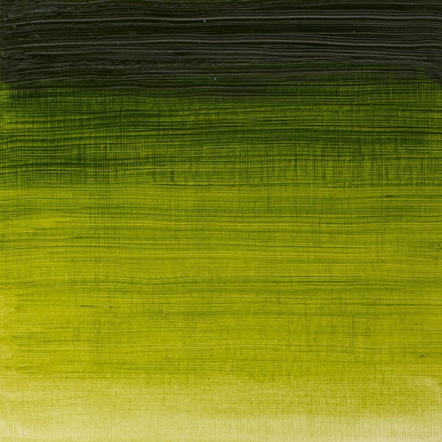 Winsor & Newton 200ml Winton Oil Sap Green