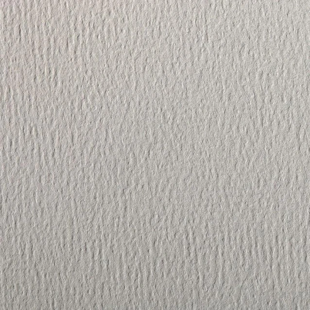 Clairefontaine Χαρτί Σχεδίου Etival 50x65cm 160gr Clear Gray 