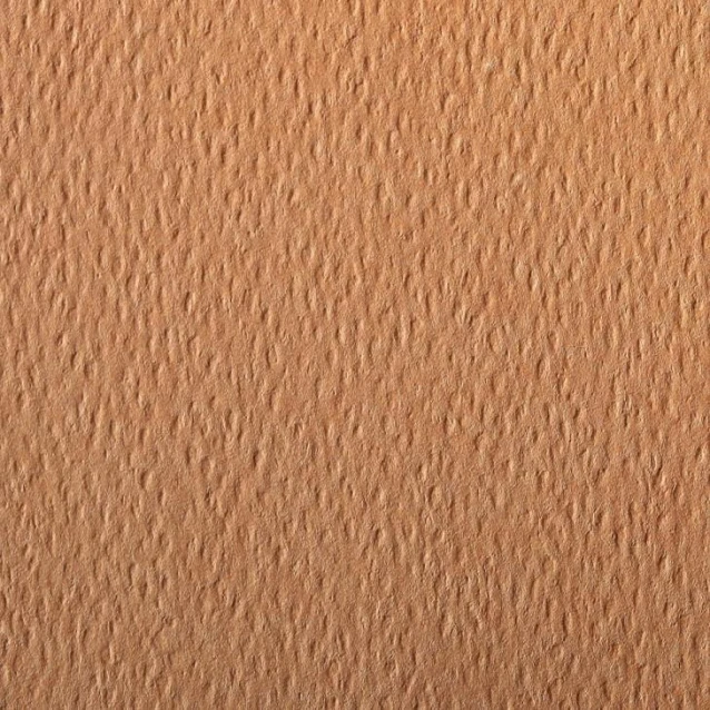 Clairefontaine Χαρτί Σχεδίου Etival 50x65cm 160gr Salmon 
