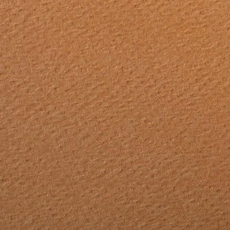 Clairefontaine Χαρτί Σχεδίου Etival 50x65cm 160gr Rust 