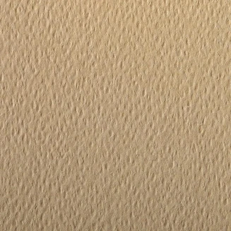 Clairefontaine Χαρτί Σχεδίου Etival A4 (21x29,7cm) 160gr Caramel