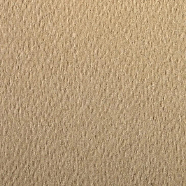 Clairefontaine Χαρτί Σχεδίου Etival A4 (21x29,7cm) 160gr Caramel