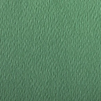Clairefontaine Χαρτί Σχεδίου Etival A4 (21x29,7cm) 160gr Deep Green