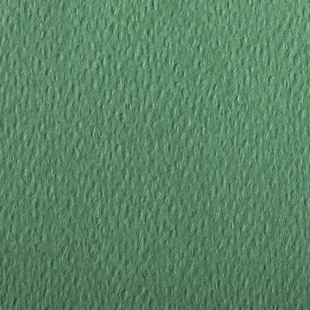 Clairefontaine Χαρτί Σχεδίου Etival A4 (21x29,7cm) 160gr Deep Green