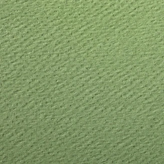 Clairefontaine Χαρτί Σχεδίου Etival A4 (21x29,7cm) 160gr Apple Green