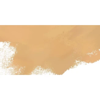 Mungyo Gallery Oil Pastel Pale Ochre 250