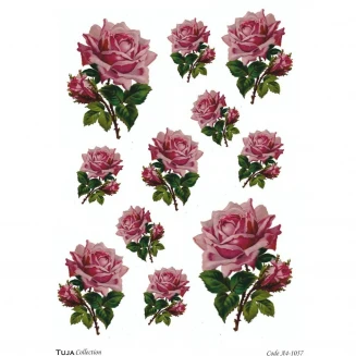 Tuja Collection Ριζόχαρτο Decoupage A4 (21x29,7cm) 1057