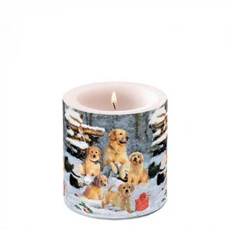 Ambiente Κερί Μικρό Φ7,5x9cm Golden Retriever Puppies