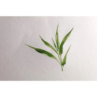 Clairefontaine Μπλοκ Ακουαρέλας Bamboo Σπιράλ 15Φ 13,5x25cm 250g