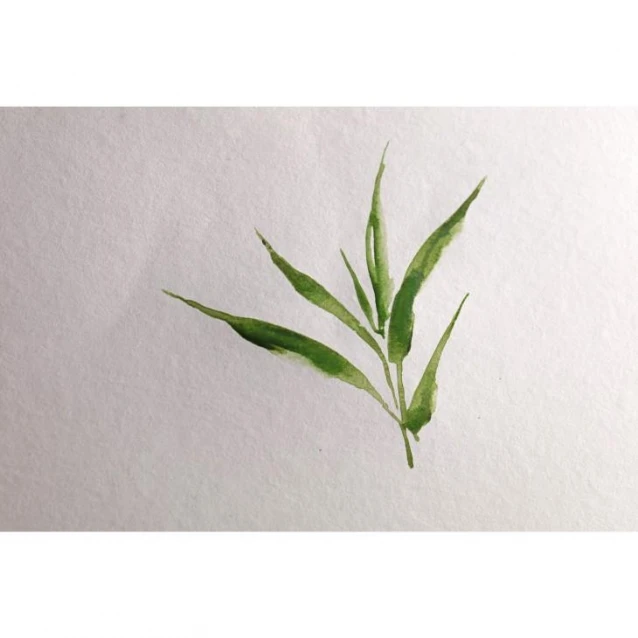 Clairefontaine Μπλοκ Ακουαρέλας Bamboo Σπιράλ 15Φ 13,5x25cm 250g