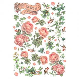 Stamperia Ριζόχαρτο Decoupage A4 (21X29,7cm) Les Jardins des Parfums