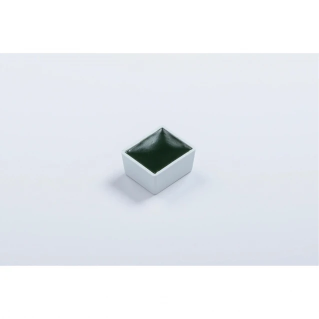 Blockx Extra Fine Half Pan Ακουαρέλας 161 Green Earth Series 1