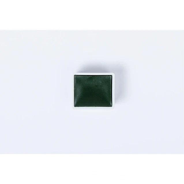 Blockx Extra Fine Half Pan Ακουαρέλας 161 Green Earth Series 1