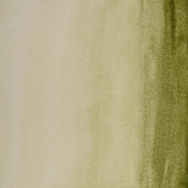 Blockx Extra Fine Half Pan Ακουαρέλας 161 Green Earth Series 1