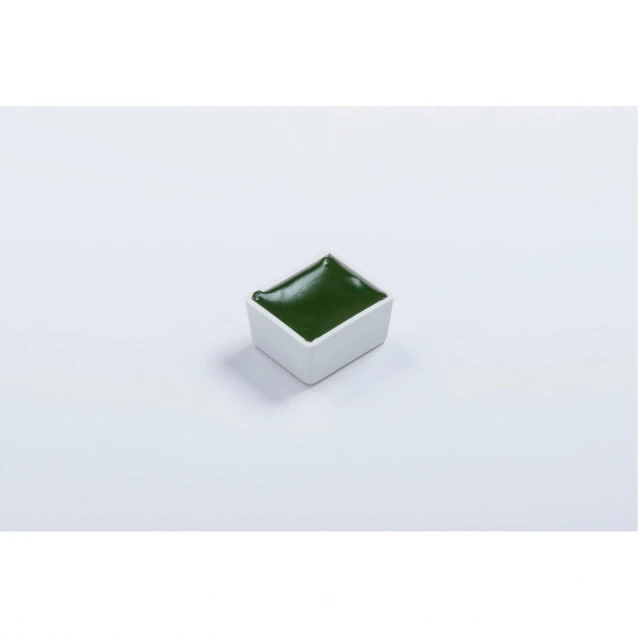 Blockx Extra Fine Half Pan Ακουαρέλας 164 Hookers Green Series 1