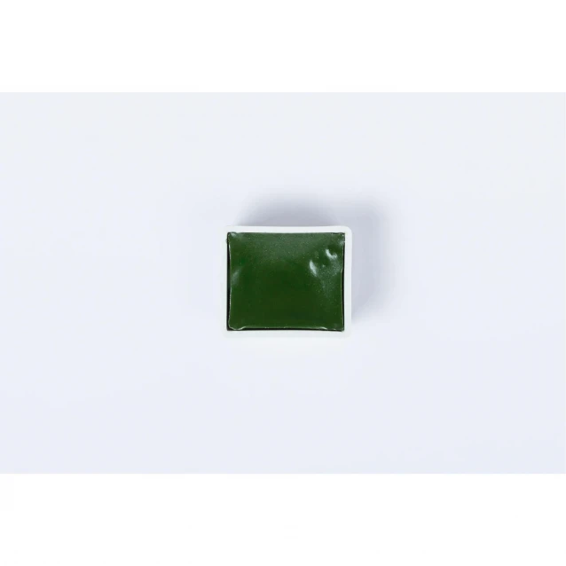 Blockx Extra Fine Half Pan Ακουαρέλας 164 Hookers Green Series 1