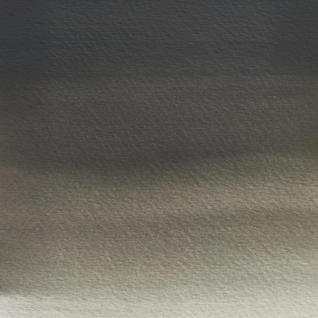 Winsor & Newton Half Pan Ακουαρέλας Professional 428 Ostwald Grey Series 1