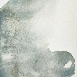 Winsor & Newton Half Pan Ακουαρέλας Professional 427 Mineral Grey Series 1