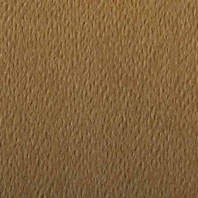 Clairefontaine Χαρτί Σχεδίου Etival 75x110cm 160gr Tobacco