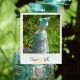 Powertex Διακοσμητική Αποξηραμένη Φλούδα Μουριάς 40g Light Green