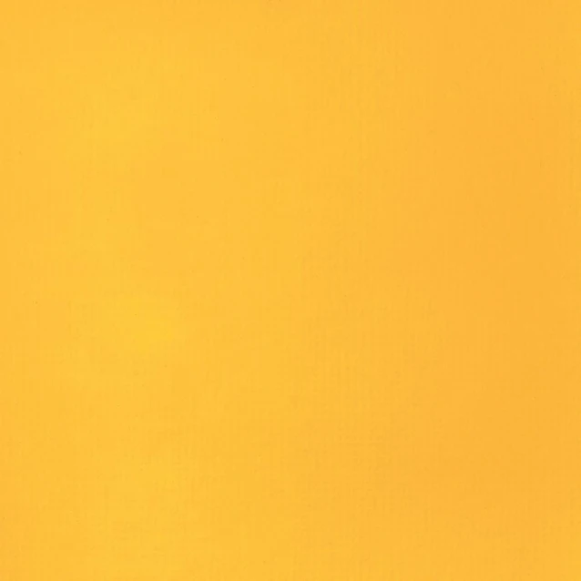 Liquitex Basics 22ml Acrylic 163 Cadmium Yellow Deep Hue Series 1