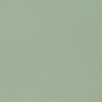 Liquitex Basics 22ml Acrylic 205 Green Gray Series 1