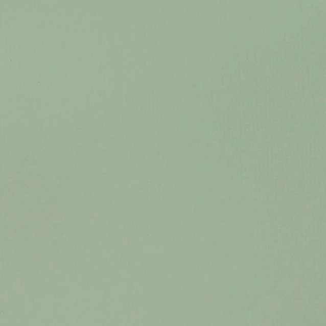 Liquitex Basics 22ml Acrylic 205 Green Gray Series 1