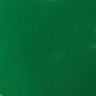 Liquitex Basics 22ml Acrylic 224 Hookers Green Hue Series 1