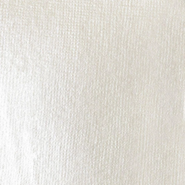 Liquitex Basics 22ml Acrylic 238 Iridescent White Series 2