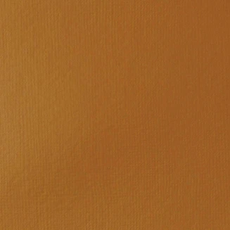 Liquitex Basics 22ml Acrylic 330 Raw Sienna Series 1