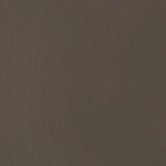 Liquitex Basics 22ml Acrylic 331 Raw Umber Series 1