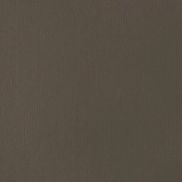 Liquitex Basics 22ml Acrylic 331 Raw Umber Series 1