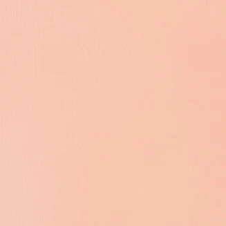 Liquitex Basics 22ml Acrylic 810 Light Pink Series 1